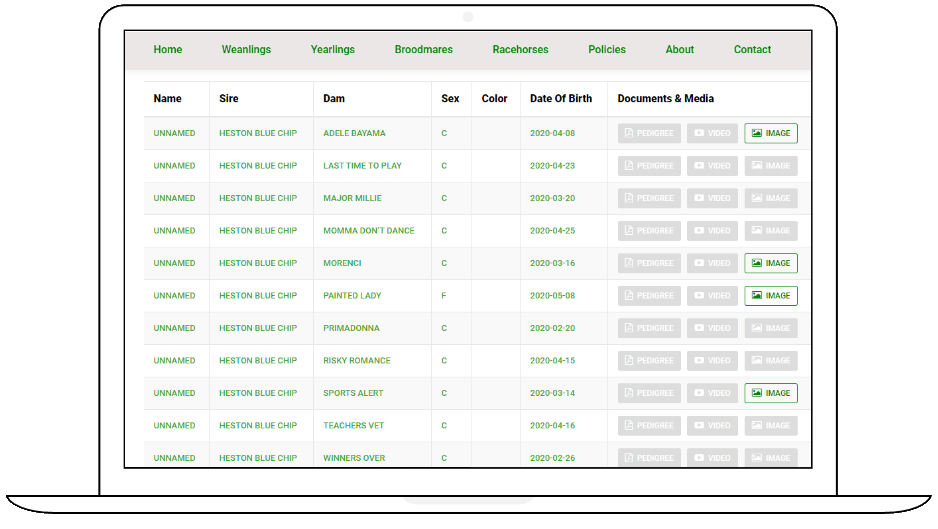 web design websites computer repair hanover pa 17331